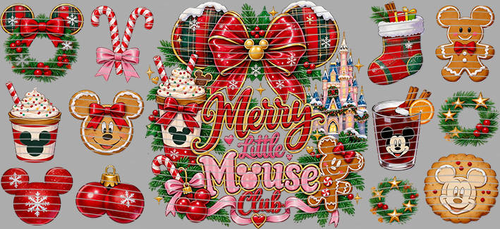 16oz Disney style-D-3245